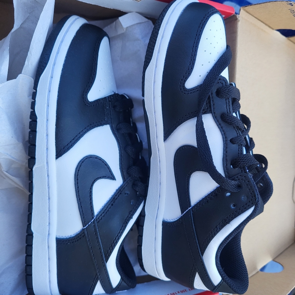 Nike low dunk